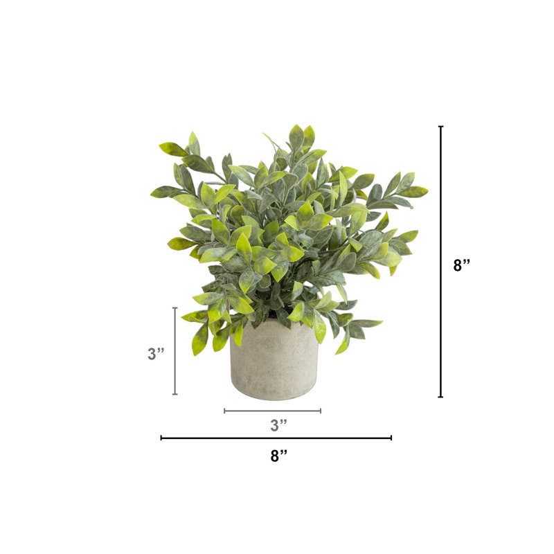 8in. Artificial Mini Eucalyptus Potted Plants - Set of 3
