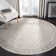 Performance Oriental Rug