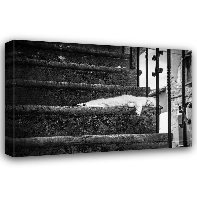 Art sur toile tendue avec la galerie Latitude Run® Polo, Piera, H 33 po x l 48 po