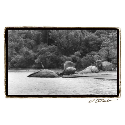 Serene Lake II - Wrapped Canvas Print