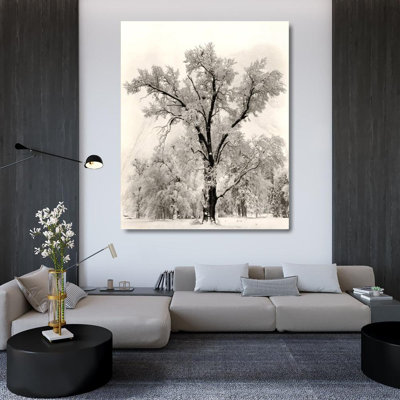 Oak Tree IMA-A18b