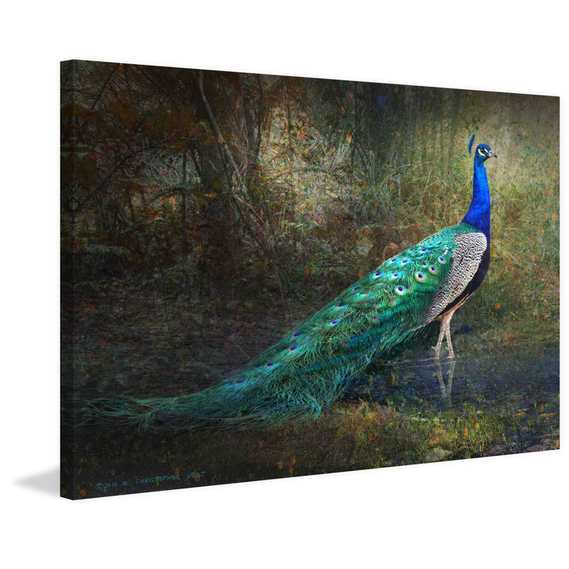 Chris Vest - Wrapped Canvas Painting, 61cm H x 91cm W x 3.81cm D