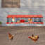 Boîtes à poulets à 8 compartiments avec œufs-1433434807