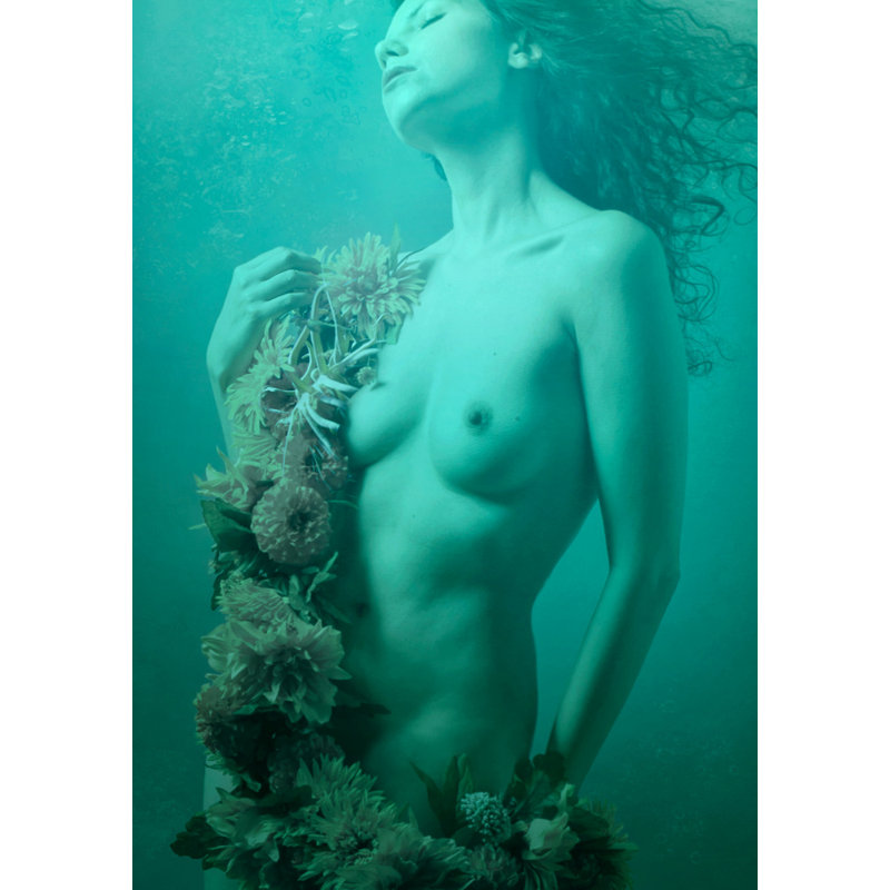 Wrapped Canvas Print, 121.92 cm H x 81.28 cm W