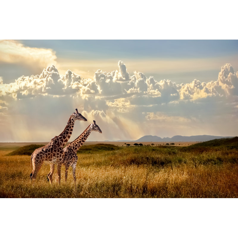 Serengeti National Park - Wrapped Canvas Print, 30cm H x 46cm W x 3.8cm D