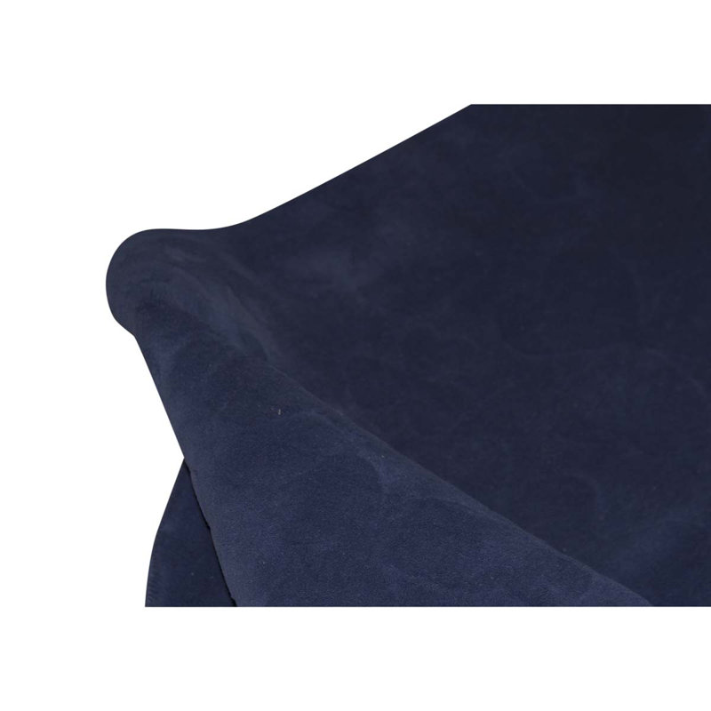 Area Rug in Navy