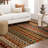 Spice Market Saigon Plush Pile Stain/Fade Resistant Polyester Woven Southwestern Indoor Area Rug-28671507