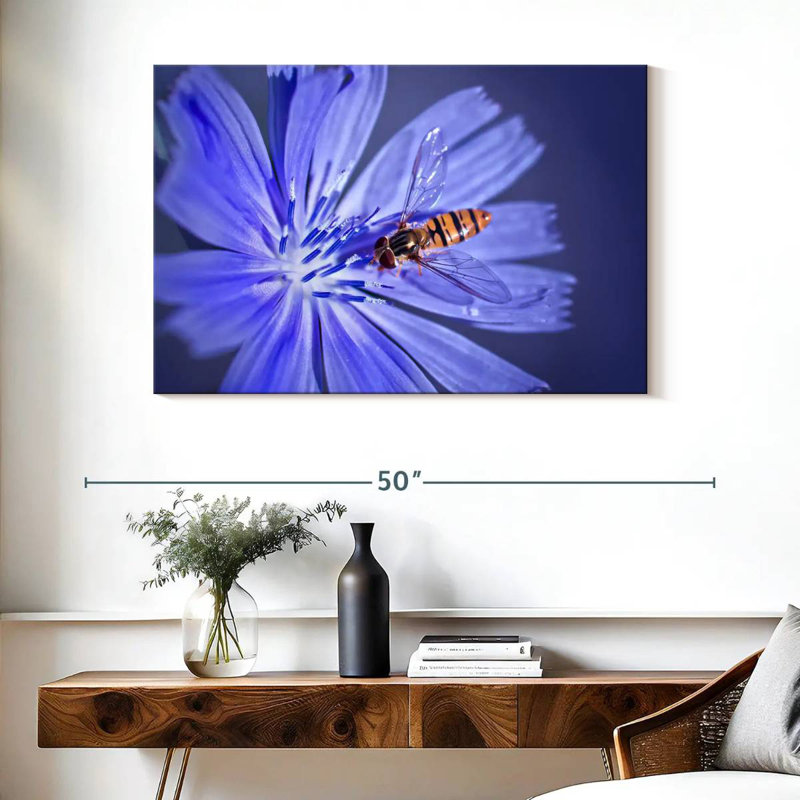 Bee On Chicory Flower, 26" H x 39" W