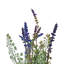 Arrangement floral lavande en pot