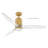 Brocken Ceiling Fan with LED Lights-84010384-84010387