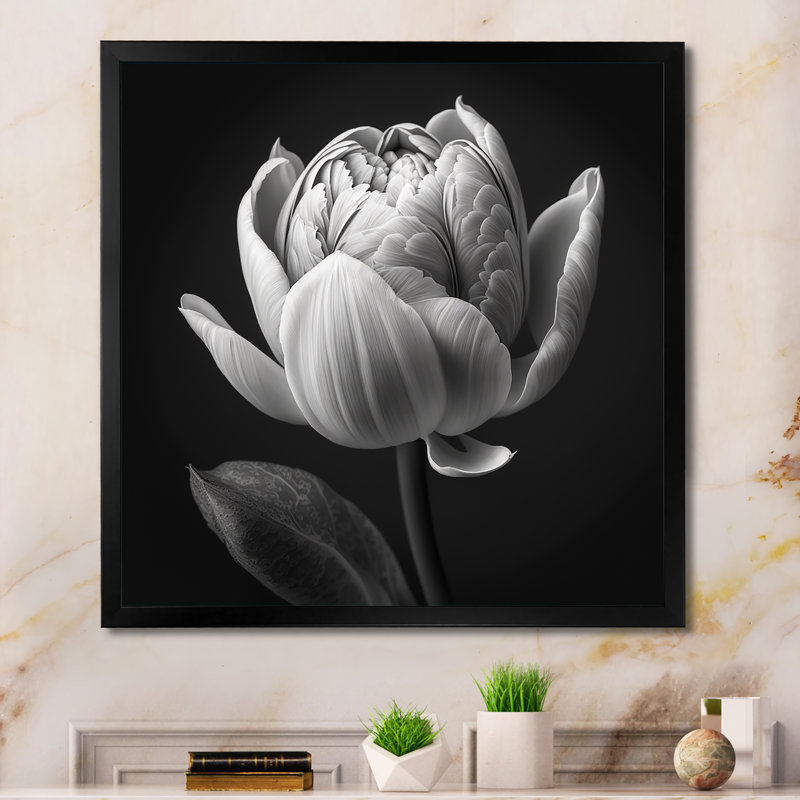 Gros plan sur une tulipe noire et blanche I - reproduction sur toile, H 16 po x l 16 po x P 1 po, Cadre photo noir