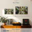 «Muir Wood California Redwoods» sur toile-474314452