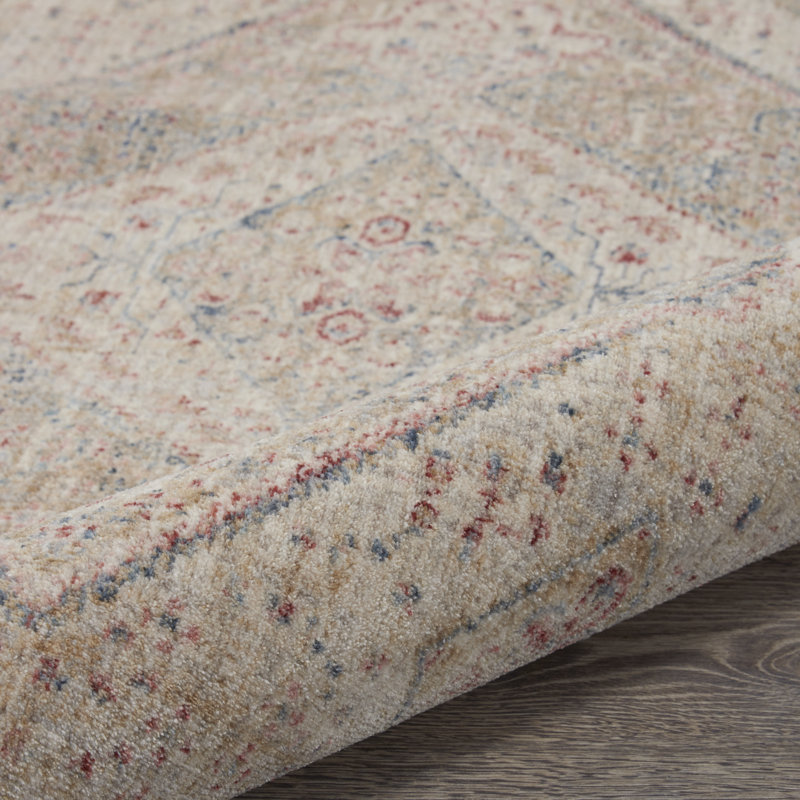 Carmelindo Southwestern Area Rug, Runner 79 x 305cm