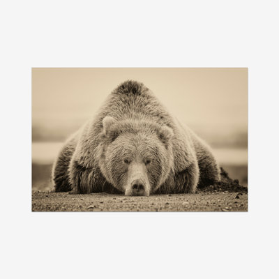Deep Sleep by PHBurchett - Print