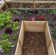 8 ft. W x 8 ft. D Cedar Garden in a Box