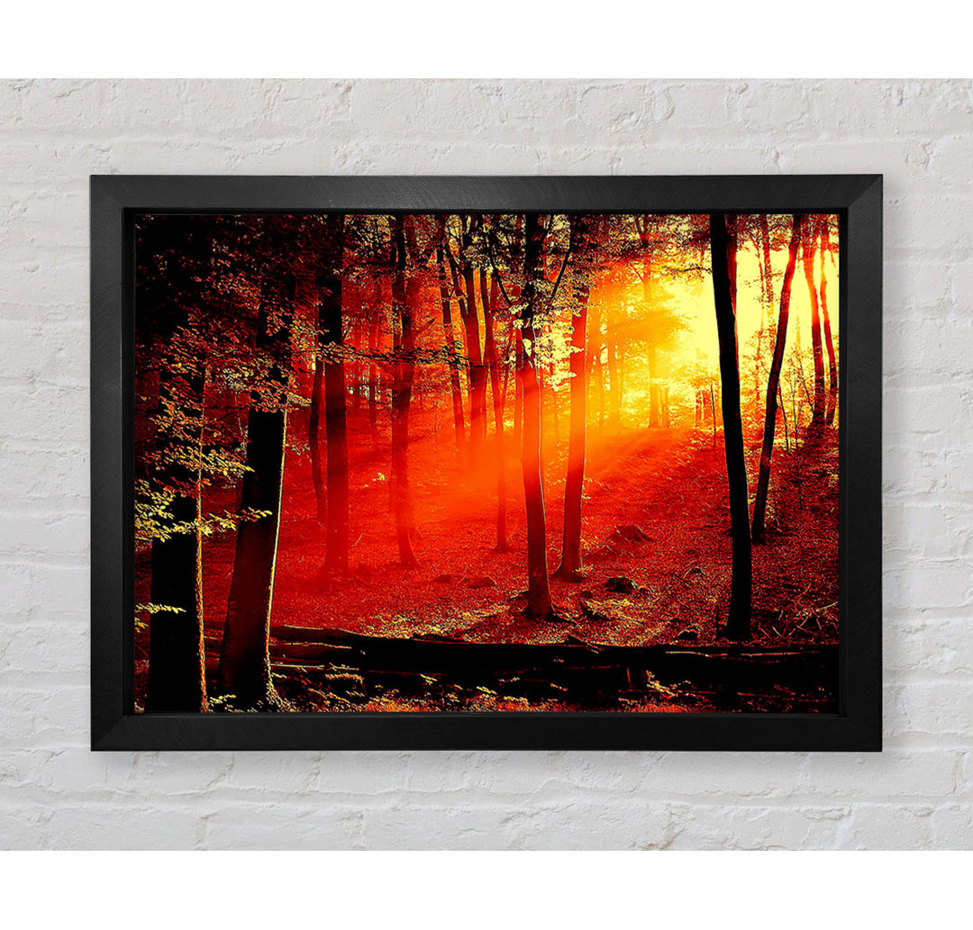 Red Woodland Beam - Einzelner Bilderrahmen Kunstdrucke