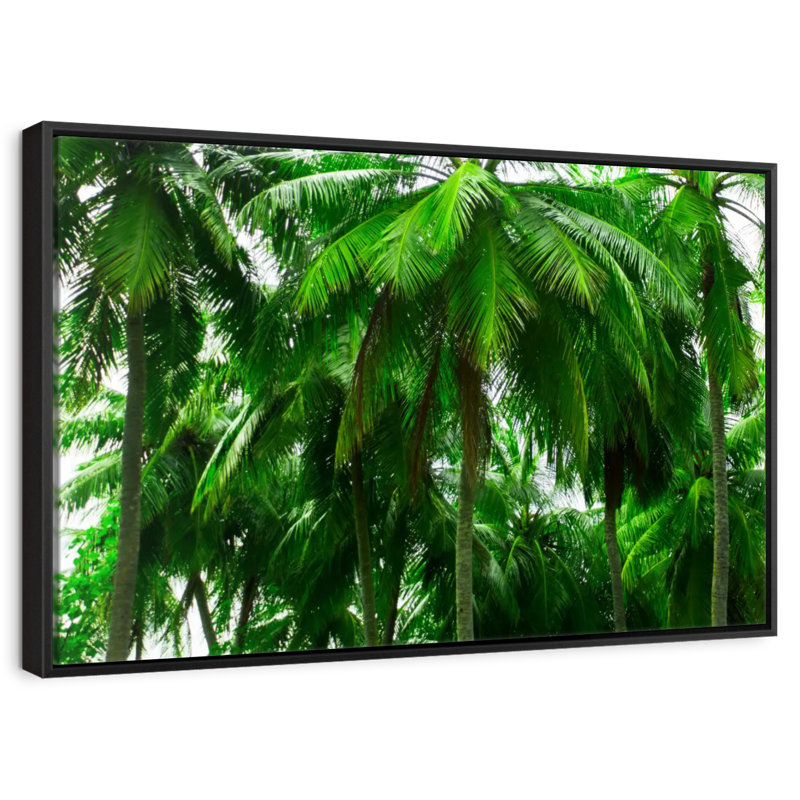 Palmier forêt, 19 po x 13 po, Cadre flottant noir