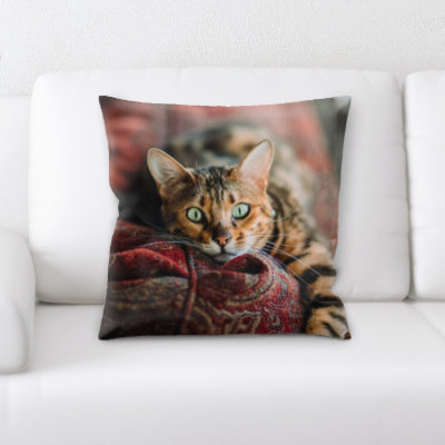 Coussin pour chat