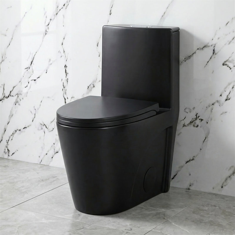 Dual-Flush One Piece Toilet, 1.1/1.6 GPF Water-Saving, Floor Mounted, Soft Close Quick-Release Seat