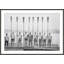 Syracuse Crew 1 Print-667485993