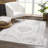 Eckelman Indoor Rug-558687237