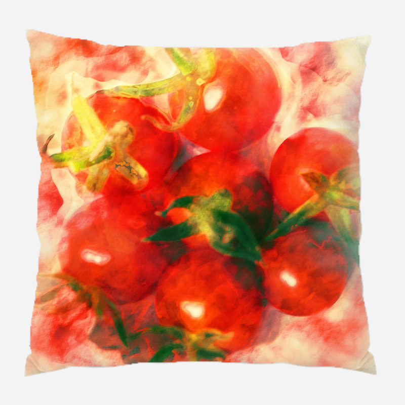 Coussin en tomates Fayetteville, Microsuède, Intérieur