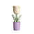 Blanc / vert / mauve sélectionné
