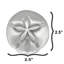 Petit bouton Sand Dollar (ensemble de 2)-39948843-128036966-128036965