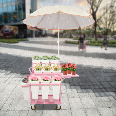 Metal Garden Cart Plant Stand Withwith 18Pcs Buckets And Parasols(Pink,White)