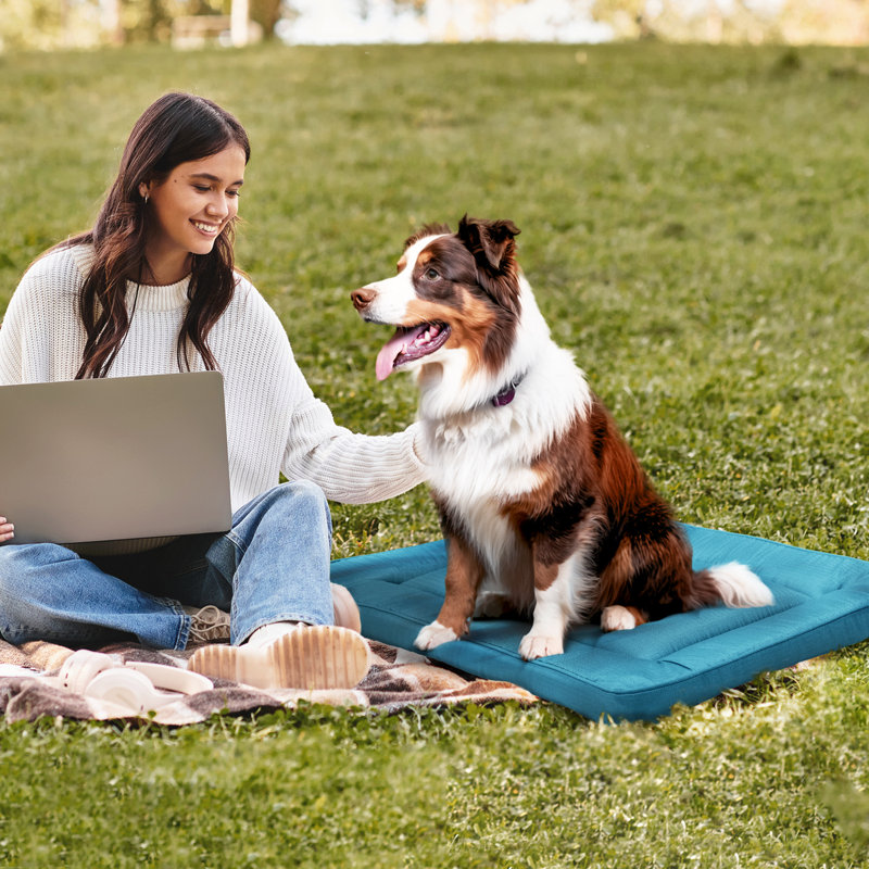 Tapis de voyage pour chat et chien Brunelle, Moyen (l 35 po x P 23 po H 2 po), Bleu sarcelle