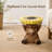 Highland Cow Stool with Sunflower Top