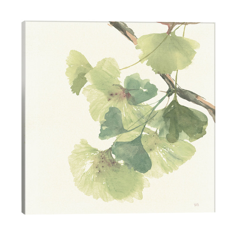 Light Gingko Leaves II by Chris Paschke - Wrapped Canvas Painting, 30.48 cm H x 30.48 cm W