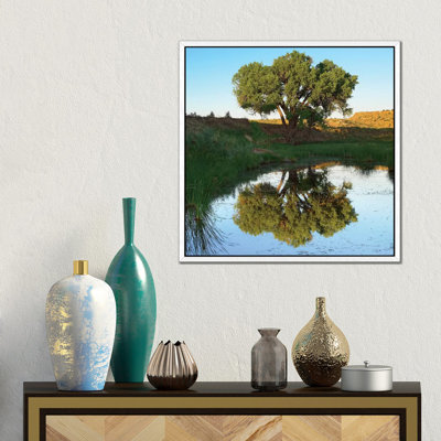 Tree Reflecting In Creek Near Black Mesa State Park, Oklahoma by Tim Fitzharris - Gallery-Wrapped Canvas Giclée on Canvas