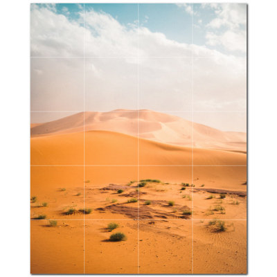 Photo du désert 4,25 x 4,25