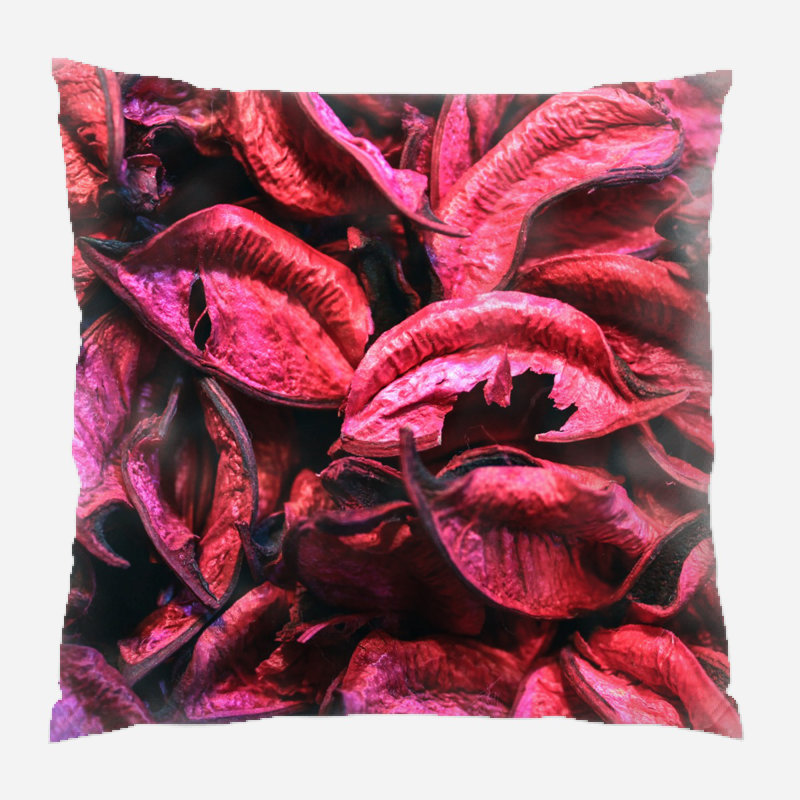 Housse et insert de coussin carré Corisande, Microsuède, Intérieur