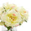 Pivoines Gennadios disposées dans un vase en verre-72399402