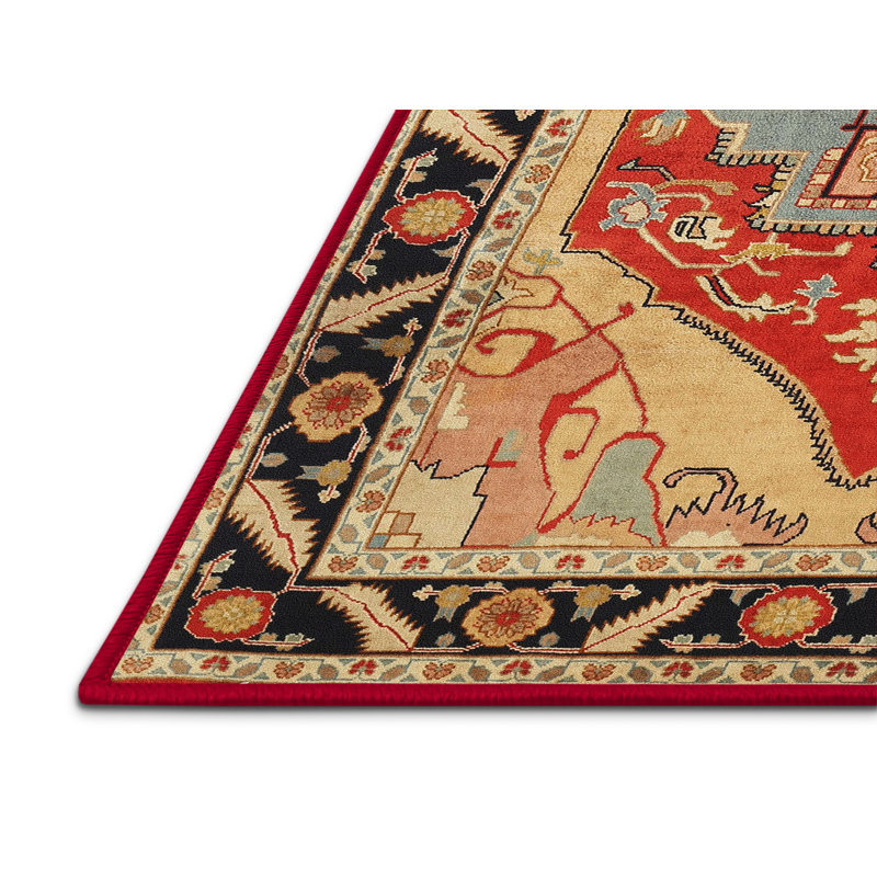 Caydren Oriental Indoor Rug, Rectangle 4' x 6'
