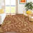 Machine Washable Indoor/Outdoor Chantille ACN2411 Botanical Rug-1165774678