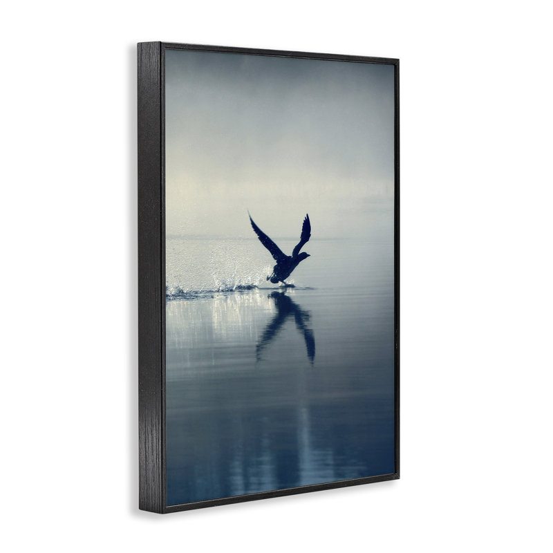  «Splashing Bird on Water», estampe numérique encadrée par Incado, H 24 po x l 16 po, Giclée encadrée noir minuit