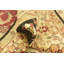 Tapis rouge Olson