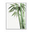 Palmier en bambou, détail II - peinture sur toile-60162945-60162953