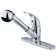 Legacy Water Saving Pull Out Single Handle Kitchen Faucet