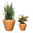 2-Pack 10 in. Light Wood Plastic Self-watering Planter Pot-210273563