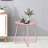 Pink Outdoor Iron Plate Table