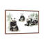 Pandas-52152832-52152824