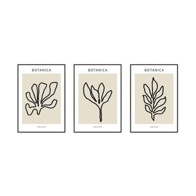 Foglio Botanica