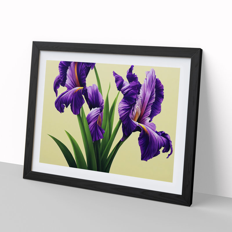 Contemporary Iris Flowers - Framed Print, 34cm H x 46cm W x 2cm D, Black