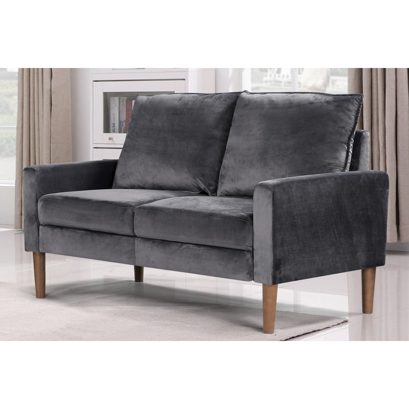 Delfred 53'' Velvet Loveseat, Gray