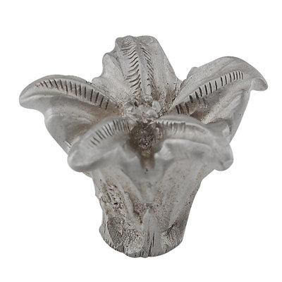 Carlotta Novelty Knob