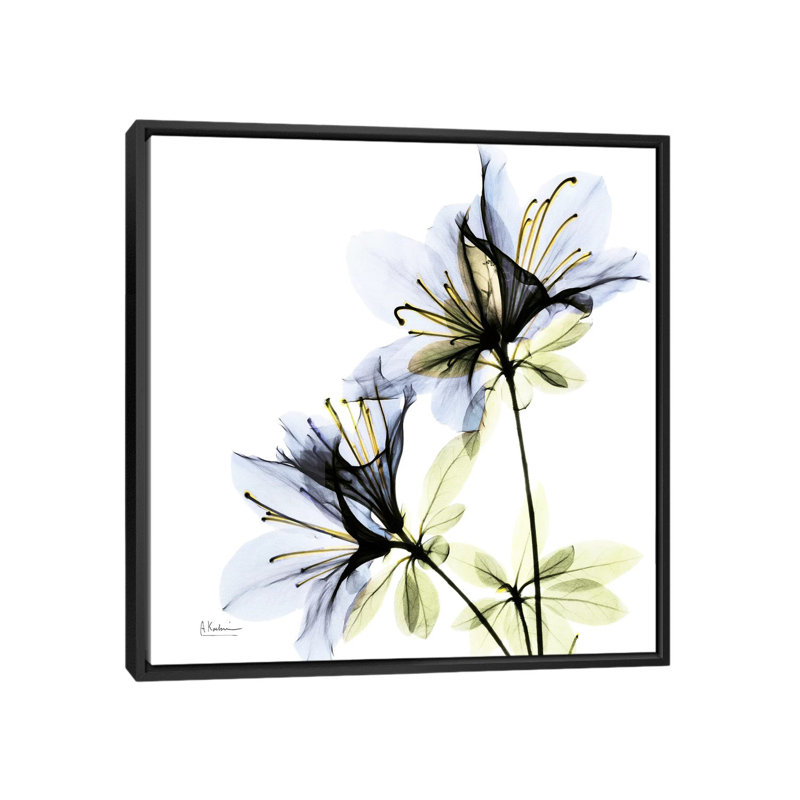 «Azalea I», impression sur toile, H 18 po x l 18 po x P 1,5 po, Toile avec cadre noir, Pas de tapis